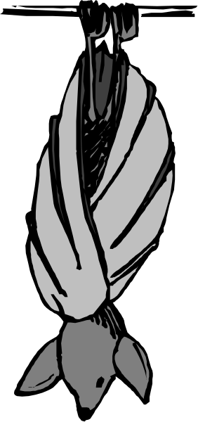 The black and white illustration shows a stylized leaf with veins extending outward from its center on an otherwise plain background.