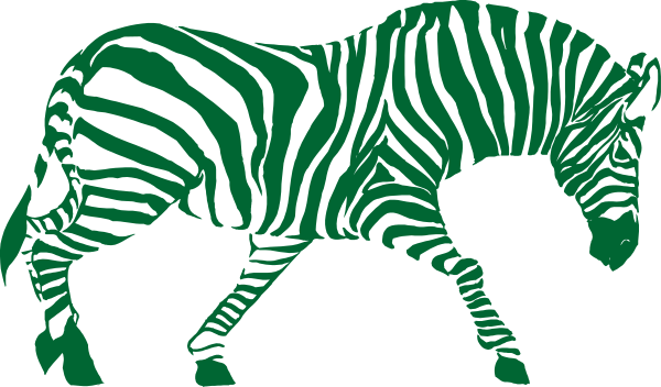 The image shows a zebra standing on grass with its head turned to look at something off camera.