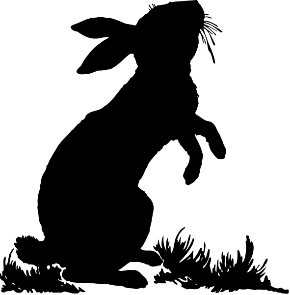 The image shows a black background with two white rectangles on top of each other; there is no discernible content within these shapes to provide further details about their nature.