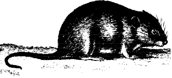 The black and white photo shows a blurry scene with indistinct shapes that could be interpreted as buildings or structures on what appears to be an urban street at nighttime; there is no clear text present in this image, so it's not possible for me to provide any information about the content of such texts.