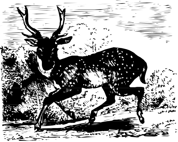 The black and white illustration depicts a deer with antlers standing next to an elk lying down on what appears to be grassy terrain at nighttime under dark skies.