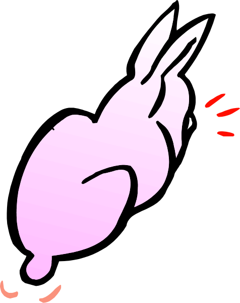 The image shows a cartoon of an animal that resembles a chicken with its wings spread out as if flying against a black background.