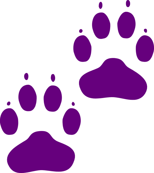 The image shows a purple paw print with two smaller ones on either side against a black background.