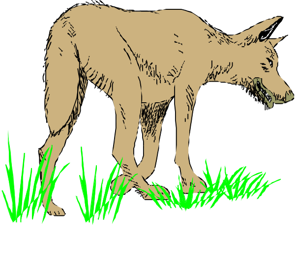 The illustration shows a cartoon wolf standing on grass with its head turned to look at something off frame while it appears to be walking away from an unseen object in front of it.