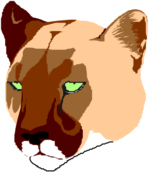 The image features a cartoon depiction of an animal with human eyes wearing glasses; it is stylized to resemble a cat's face on top of what appears to be that of another creature, possibly a dog or fox due to its ears and snout shape.