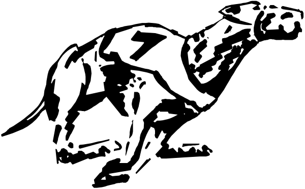 The black and white photo shows a close up of an animal's head with its mouth open as if it is yawning or panting.