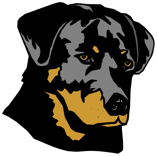 The image features a black dog with yellow eyes looking to its right against an orange background.