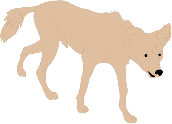 The black and white silhouette of a wolf walking on all fours with its ears perked up against an unseen background.