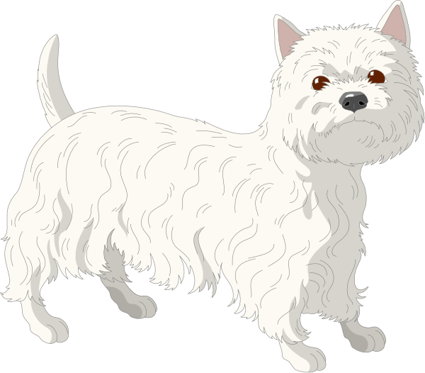 The image shows a white dog with long fur standing on two legs against a black background; there is no text present within this small clip-art picture.