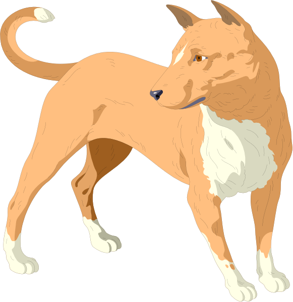 The image shows a dog standing on its hind legs with front paws raised as if it's walking upright against two different backgrounds: one is black and white while the other has an orange hue to match the color of the dog, which appears to be brown or tan in both images.