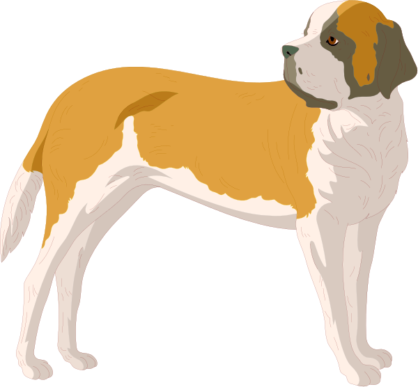 The image shows a side view of two dogs with different fur patterns: on the left is an orange dog standing upright; to its right stands another brown-and-white dog in profile facing towards us.