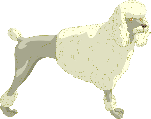 The image shows a cartoon depiction of an oversized poodle standing upright on its hind legs with front feet raised as if it's walking in place against a plain background.