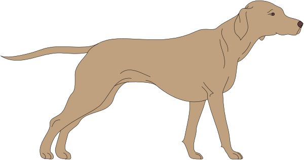 The image shows a dog standing on its hind legs with front paws raised as if it's walking upright against an abstract background that is dark in color.