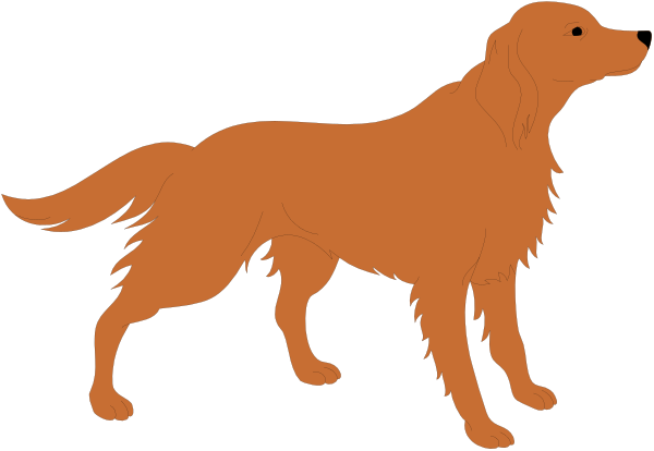 The image shows a large orange dog standing on two legs with its front paws raised as if it's walking upright in an outdoor environment against a black background.
