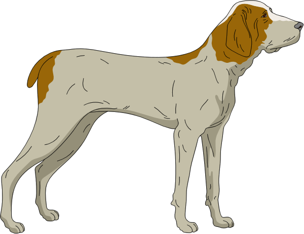 The image shows a black and white illustration of two dogs standing side by side against a dark background; both appear to be pointers with distinctive brown patches on their bodies, long ears, and expressive eyes.
