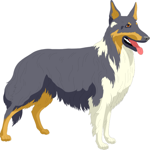 The image shows two dogs standing side by side against a black background; both have brown fur with white markings on their faces and chests, one is larger than the other but has similar coloration and features such as floppy ears and long coats.