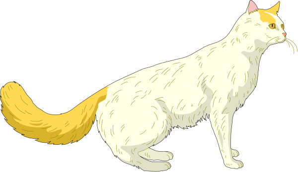 The image shows a cartoon of two cats: an orange tabby cat standing on its hind legs with front paws raised as if it's waving hello to another white long-haired cat that is sitting down and looking up at the first one, both against a black background.