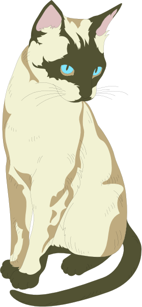 The image shows a Siamese cat with blue eyes sitting upright on its hind legs against an indistinct background that resembles paper texture.