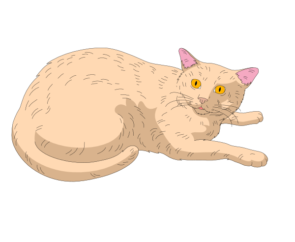 The image shows a cartoon of an orange tabby cat with yellow eyes lying down on its side next to text that reads "Cat."