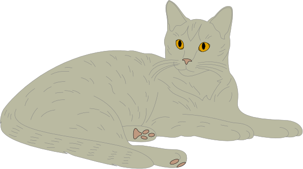 The image shows a cat with yellow eyes sitting on its hind legs next to what appears to be an object that resembles a small animal toy.