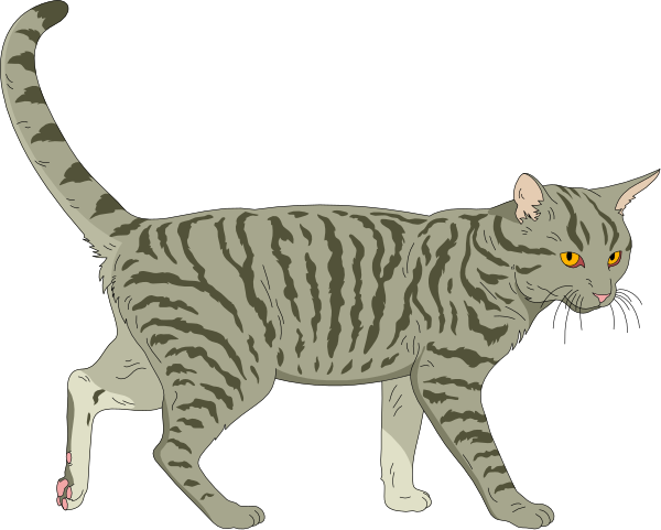 The image shows a cartoon of an orange tabby cat with stripes walking on all fours to its right against a black background.