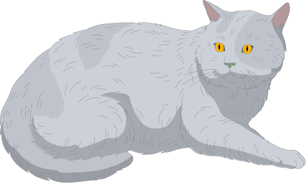The image shows a white cat with yellow eyes sitting on its hind legs next to another smaller figure that appears to be an animal but is too small for me to identify accurately.