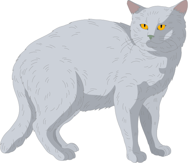 The image shows a cartoon of an adult white cat with yellow eyes standing upright on its hind legs against a plain background.