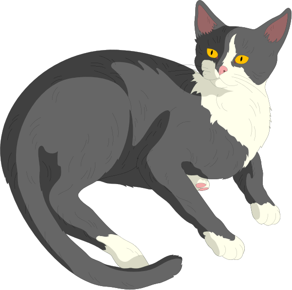 The image shows a cartoon of two cats with different fur patterns: on the left is an orange tabby cat looking to its right; on the right is a black-and-white tuxedo cat also facing towards the viewer's side, but it appears more alert and has yellow eyes. Both are depicted in profile against a plain background.
