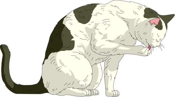 The image shows a cartoon cat sitting on its hind legs with an object between them that appears to be food for consumption.