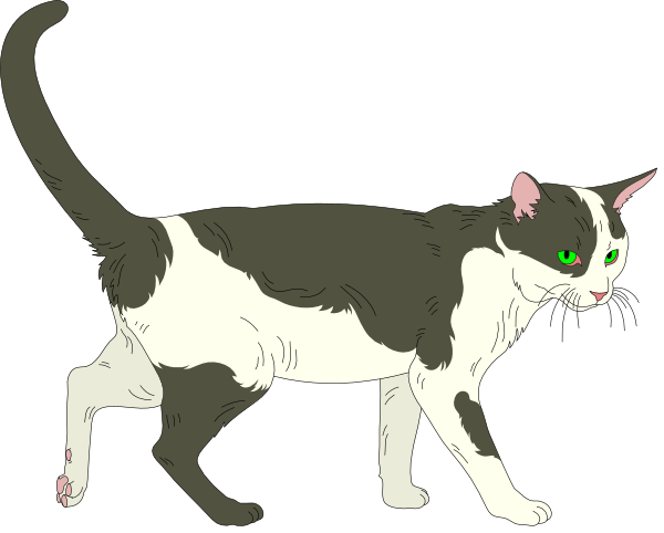 The image shows a cartoon cat with green eyes walking on all fours against a black background.