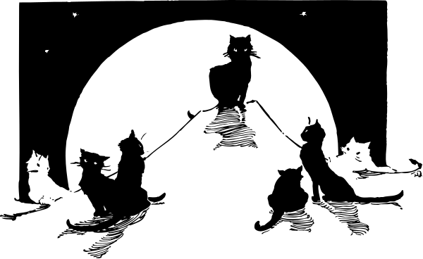 The black background of a computer screen with white text that reads "hello world".