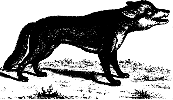 The black and white photo shows a dog standing on its hind legs with front paws raised as if it's walking upright in an outdoor environment that appears to be at night due to darkness surrounding the scene.