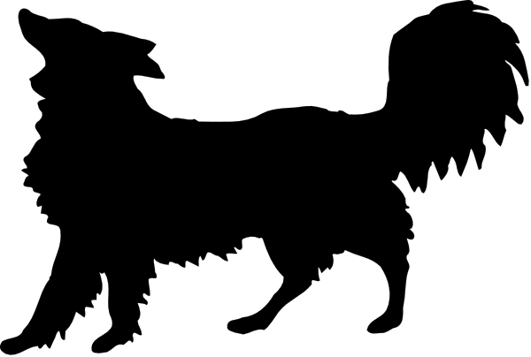 The image shows a black line with two white rectangles on either side of it against a gray background.