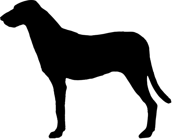 The image shows a black rectangle with white text inside it that reads "1024".