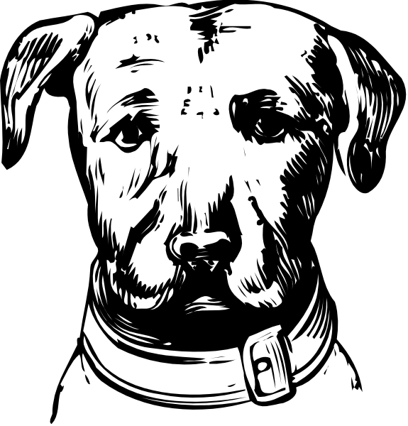 The black and white illustration shows a dog's face with two different expressions: on top is an angry expression of the head looking to its right; below it is another image showing the same dog in profile, also facing left but this time wearing what appears to be a collar or harness around its neck.