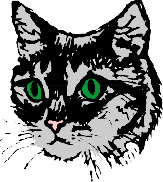 The image shows a black cat with green eyes against a white background.