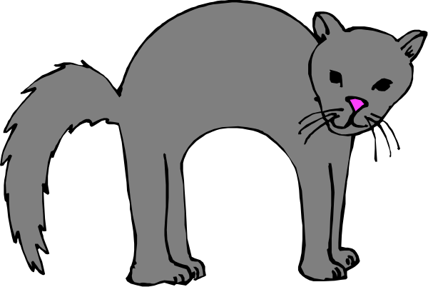 The black cat has a pink nose on its face.