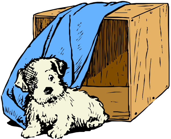 The illustration depicts a puppy lying next to an open cardboard box with blue fabric inside it on what appears to be a dark background.