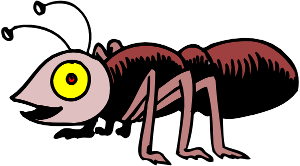 The image shows a cartoon of an insect with large eyes standing upright on two legs against a black background.