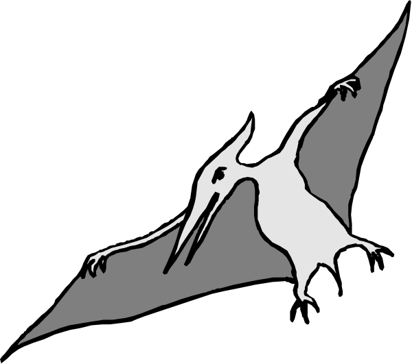 The black and white silhouette of a bat with its wings spread out against an unseen background.