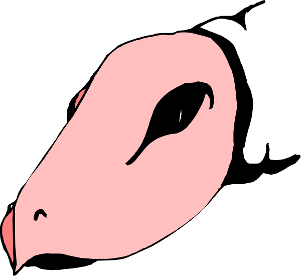 The image shows a cartoon of an animal with two eyes on its face looking to the right side of the frame against a black background.