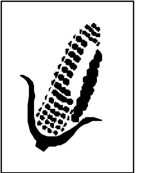 The image shows a black silhouette of an ear of corn with cob on top inside a white square background.