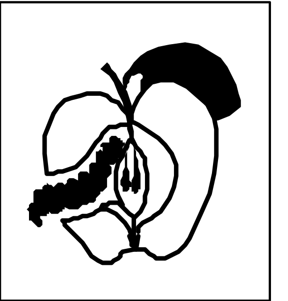 The image shows a black and white illustration of an apple with its stem on top left corner next to another smaller picture that appears to be a cross-sectional view of an animal's head resembling a banana, possibly indicating some kind of fruit or vegetable related content in the context provided.