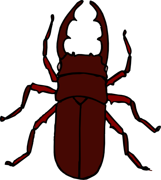 The image shows a red crayfish with six legs against a black background.