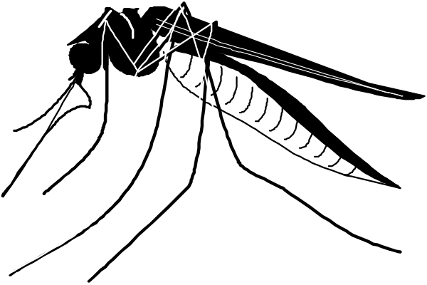 The image shows a black silhouette of an abstract mountain range with peaks that resemble waves against a dark background.