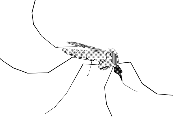 The black and white comic strip shows a large insect with antennae flying towards an unseen target on what appears to be a dark background.