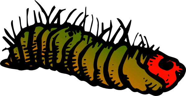 The image shows a cartoon depiction of an animal with multiple coiled bodies resembling that of a snake or worm; it is colored in shades of brown, red, yellow, green, blue, and black against a plain background without any additional context provided about setting or action taking place.