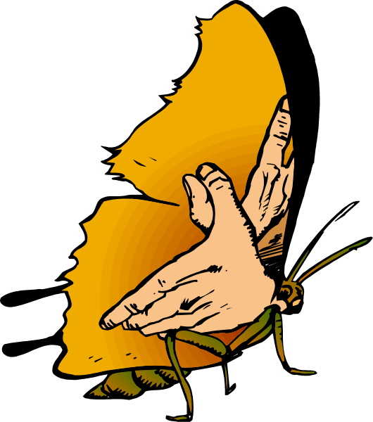 The image shows a hand with fingers spread out against an orange background that resembles butterfly wings on either side of it.