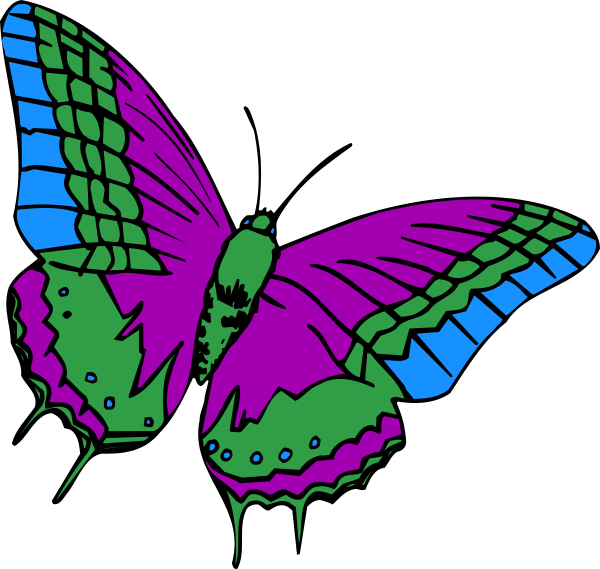 The image shows two butterflies with vibrant wings against a black background; each wing has multiple shades of color including purple, blue, pink, green, yellow, red, white, orange, brown, and gray in various patterns such as stripes or spots.