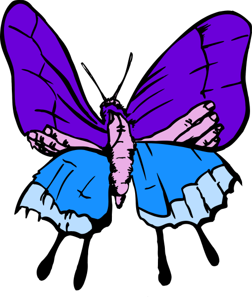 The image shows a purple butterfly with blue wings on its body against a black background.